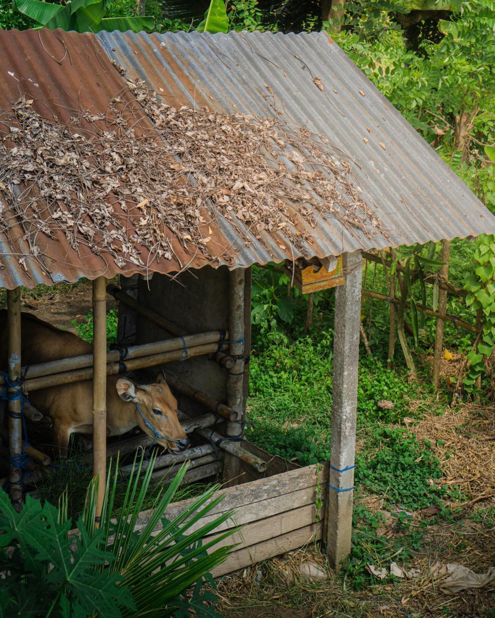 Tannari अपार्टमेंट Ubud (Bali)